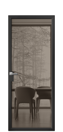 Дверь межкомнатная Frame 01 Цвет Черный Покрытие Алюминий  Наличник Скрытый короб Цена 65120