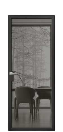 Дверь межкомнатная Frame 01 Цвет Черный Покрытие Алюминий  Наличник Скрытый короб Цена 65120