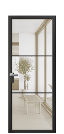 Дверь межкомнатная Frame 03 Цвет Черный Покрытие Алюминий  Наличник Скрытый короб Цена 62120